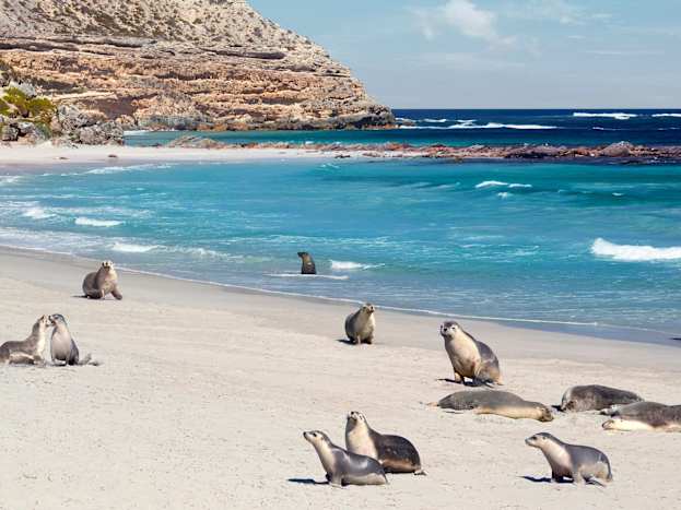 south-australia-1.jpg
